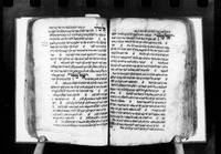 תכלאל.