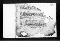 תורה שומרונית (בראשית כא:יט-כב:יד).
