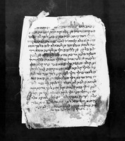 כתאב אלאנואר ואלמראקב (קטע).