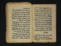 דיואן תימני.