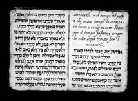 תפלות לנשים.
