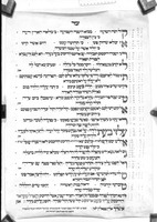 קול רנה וישועה.