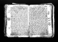 תשמישי הקדש.
