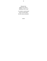 Limbo-cortical tracts / Yaakov Ben David.