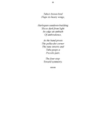 Nothing is seen : poems 2012 / Yaakov Ben David.