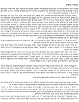 סיפור אהבה עם סוף קשור / אילנה רימלט ; צילומים: אילנה רימלט.