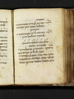 רפואות ומרקחות.