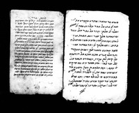סימנים להלכות שחיטה בדיקה וטריפות.