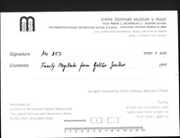 מגלה משפחתית.
