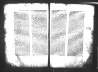 מרדכי.
