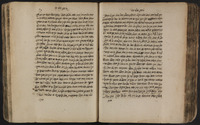 עץ חיים.