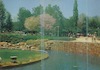 גלויה - האגם והמזרקות בגן העצמאות בפתח-תקוה – הספרייה הלאומית
