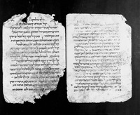 כתאב אלאסתבצאר (קטע).