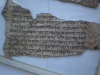 תורה (בראשית ח-ט).