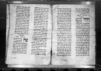 תורה, הפטרות ומגלות.