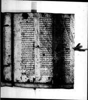 תנ"ך (קטעים).