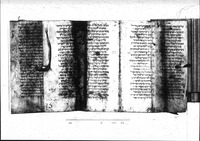 תנ"ך (קטעים).