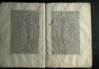 Grant of Arms.