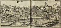 Patavia.