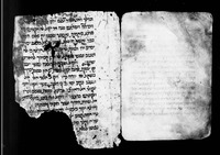 כתאב אלאנואר ואלמראקב (קטע).