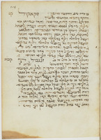 תרופות וסגלות.