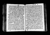 חדושים על התורה.
