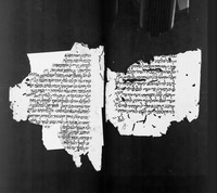 כתאב אלאנואר ואלמראקב (קטע).