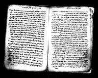 שבט יהודה (קטע).