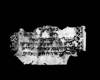 שונות.