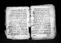 גלוסר עברי-ערבי להלכות שחיטה.