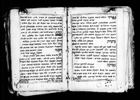 דיני טריפת הריאה.
