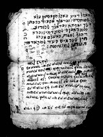 מזלות וסימני ימים.