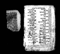 אזהרות לשבועות.