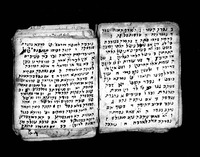 קבץ הלכות שחיטה וטרפות.