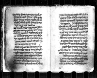הגדה של פסח כמנהג תימן.