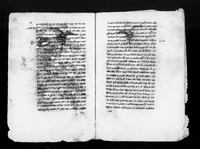 דרך ים : פרוש על ס' המבחר בפרשת נח.