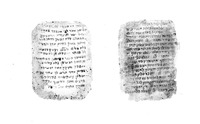 חדושים בהלכות שחיטה וטרפות.