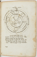 באור ספר בעלי החיים של אריסטו.