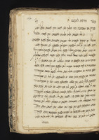 דינים וחדושים.