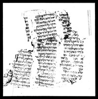 נביאים (יחזקאל כט:ג-נב:ט) : קטעים.
