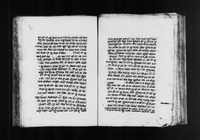 שאלות ותשובות וחדושים.