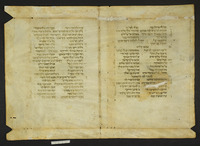 כתובים (תהלים, קטעים).