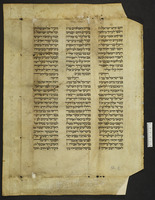 נביאים (שופטים, קטעים).