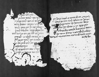 כתאב אלאנואר ואלמראקב (קטע).