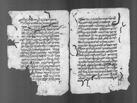 כתאב אלאימא (קטעים).