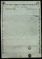 כתובה. פיזה, איטליה. תר"ג.