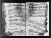דרשות לפרשיות השבוע.