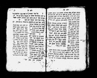 הלכות שחיטה.
