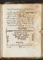 חיי בשרים.