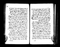 שיח יצחק.